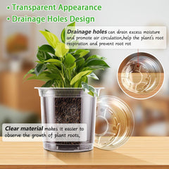 SupKing 5-inch clear nursery pot with plant label