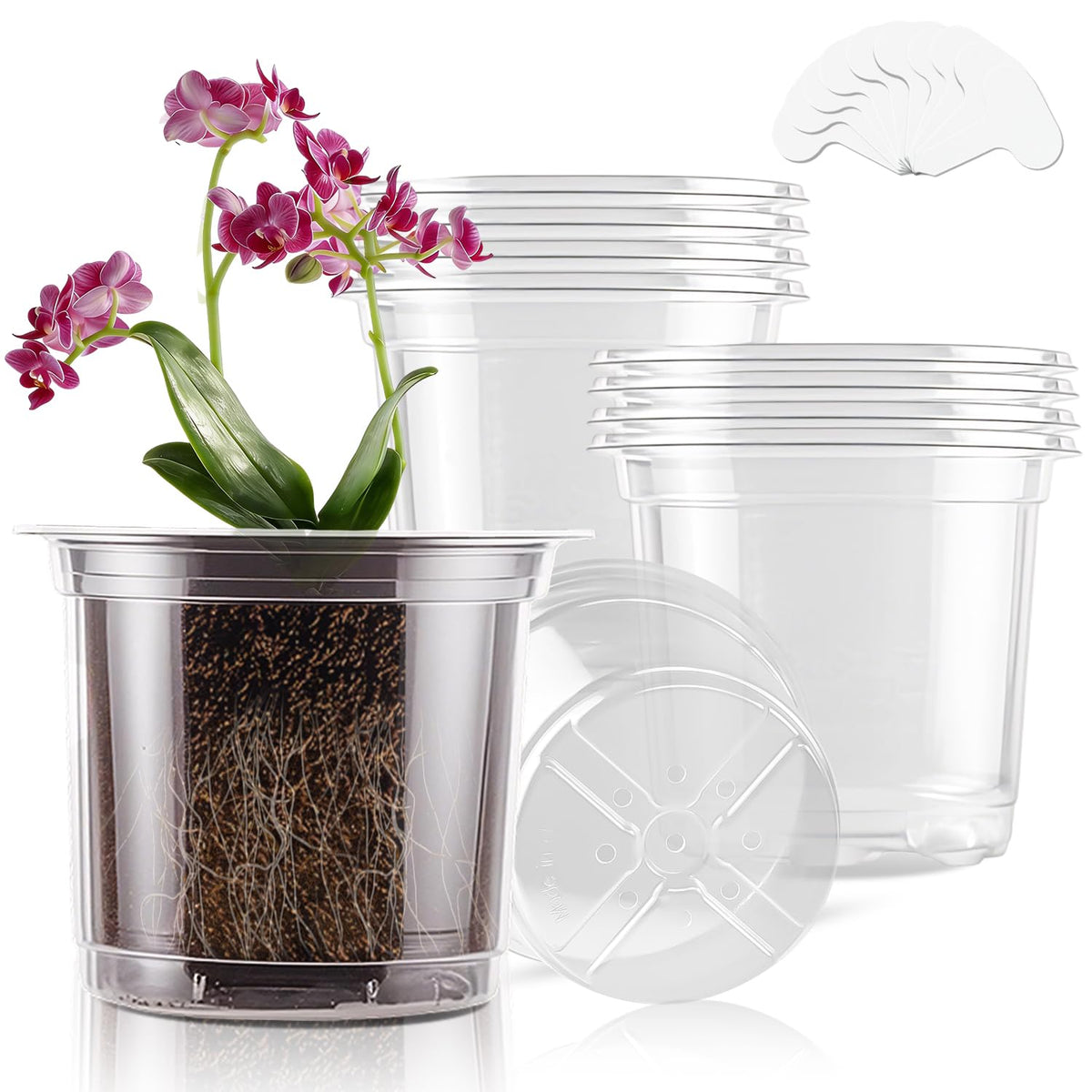 SupKing 6 Inch Clear Nursery Pot front view with drainage holes