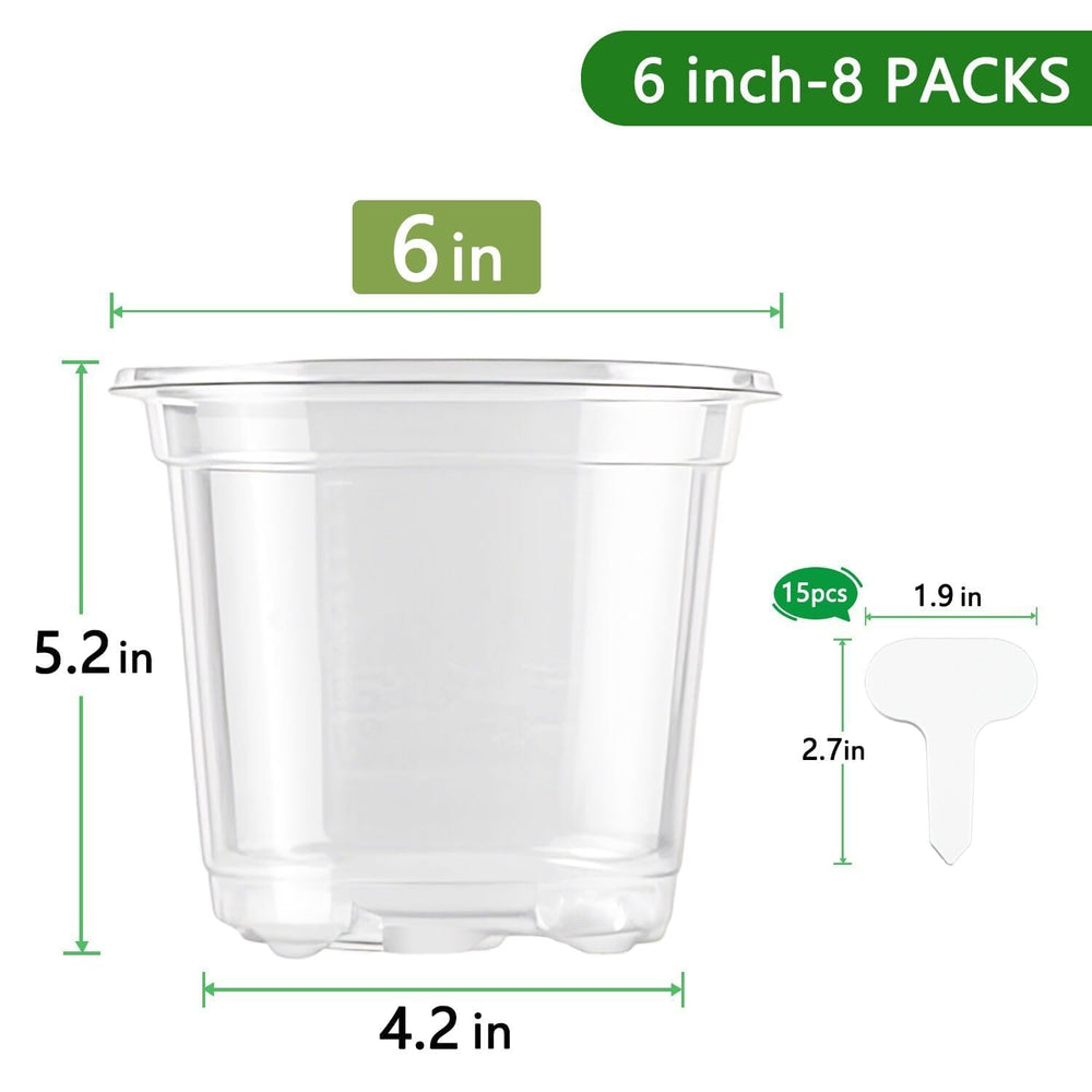 SupKing 6 Inch Clear Nursery Pot side view showing transparency