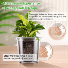 SupKing 6 Inch Clear Nursery Pot with plants inside