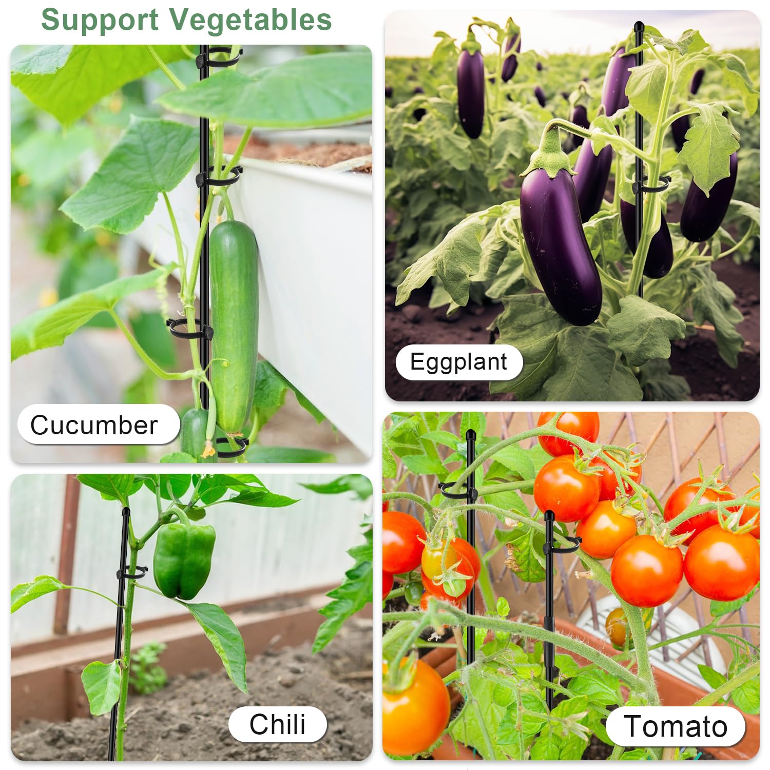 SupKing black Plant Support Stakes in use supporting tomato plants