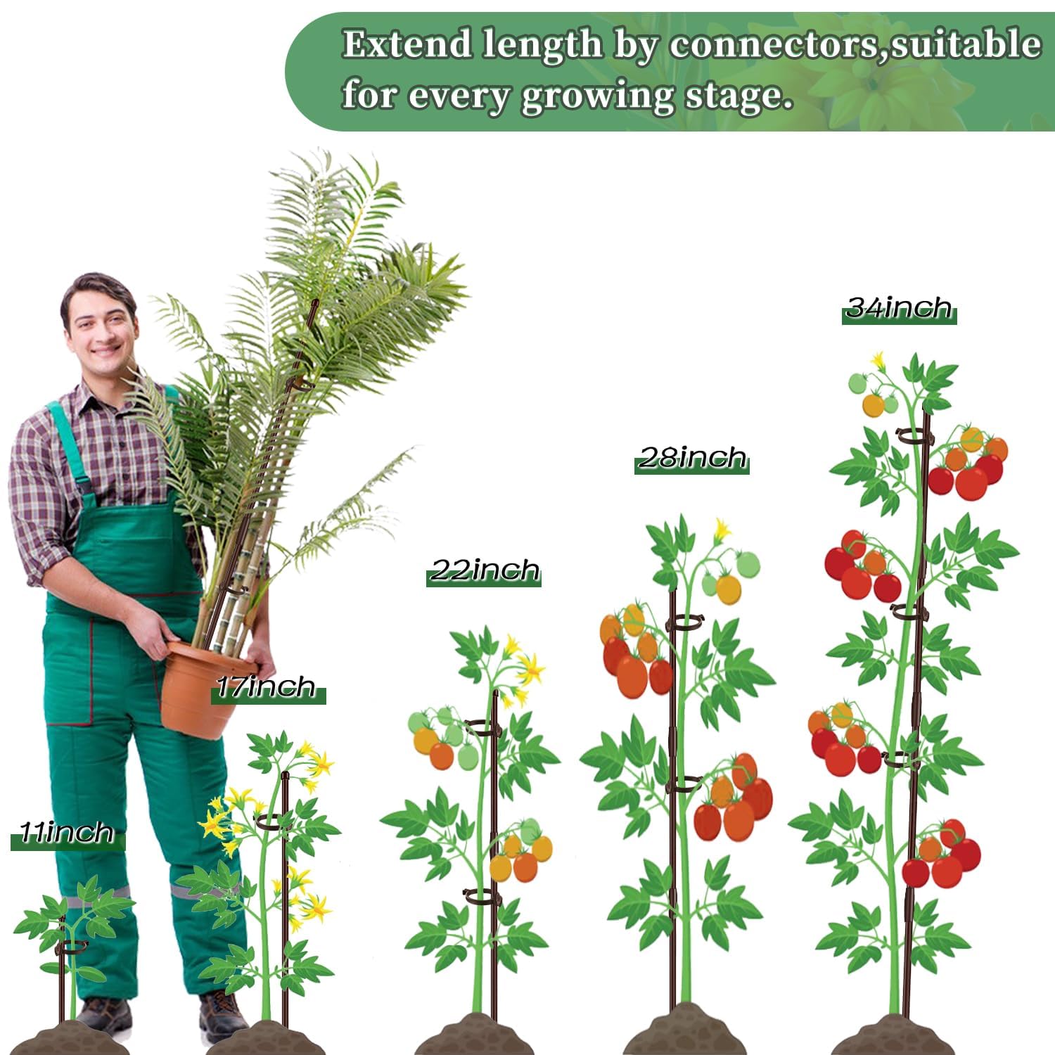 SupKing brown fiberglass plant stakes side view