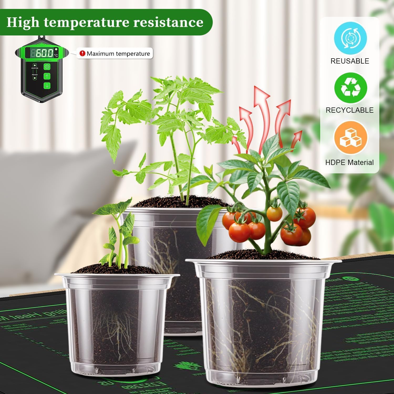 SupKing clear nursery pots with seedlings and labels