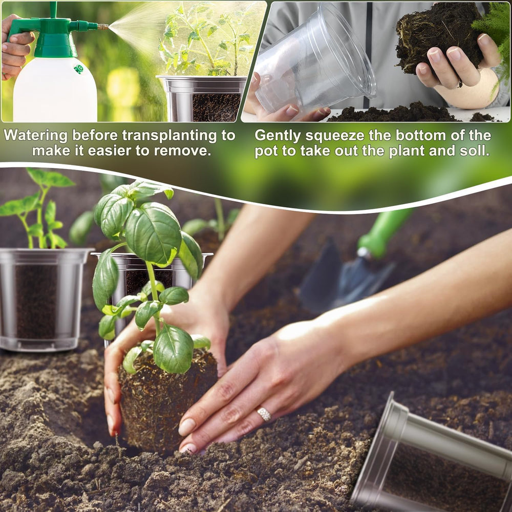 SupKing nursery pots displayed with plant labels