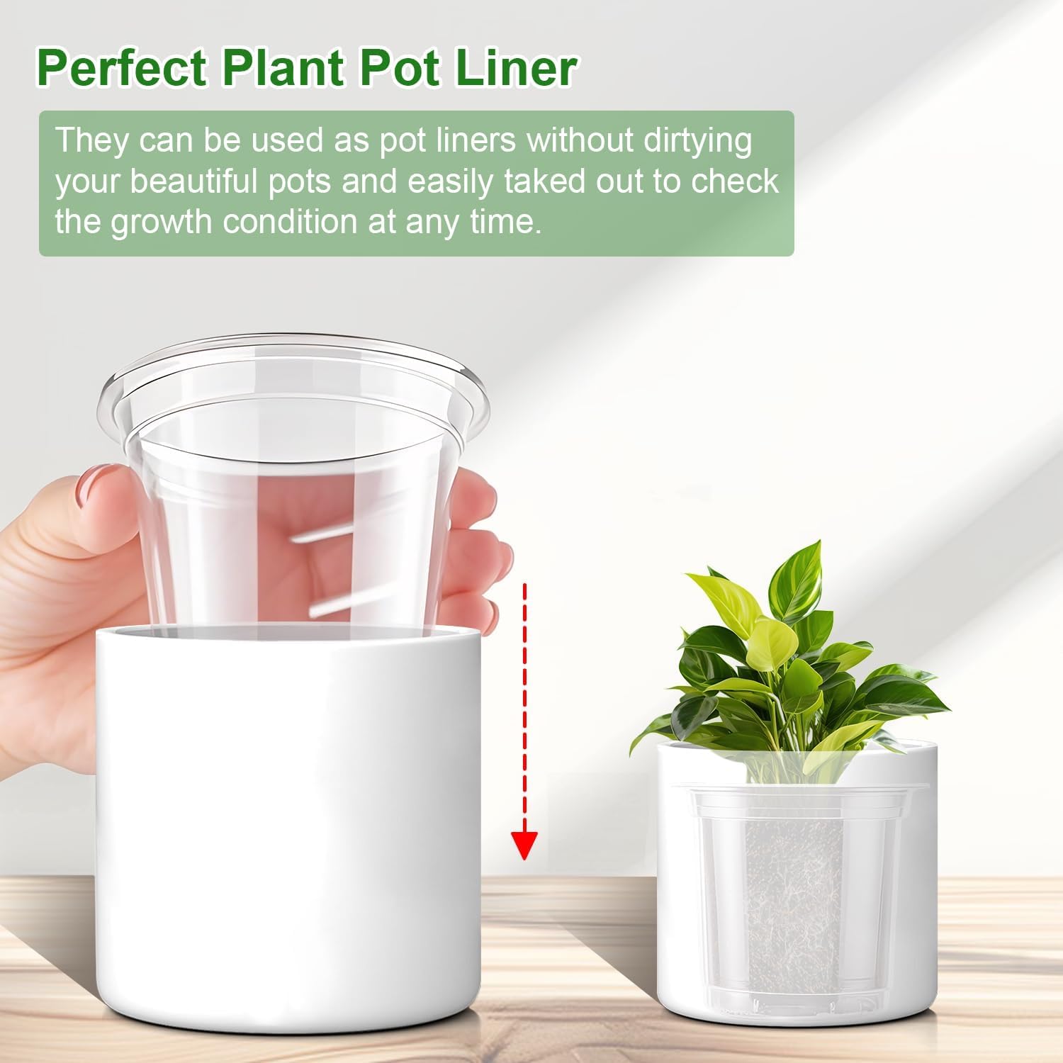 SupKing nursery pots showing drainage system