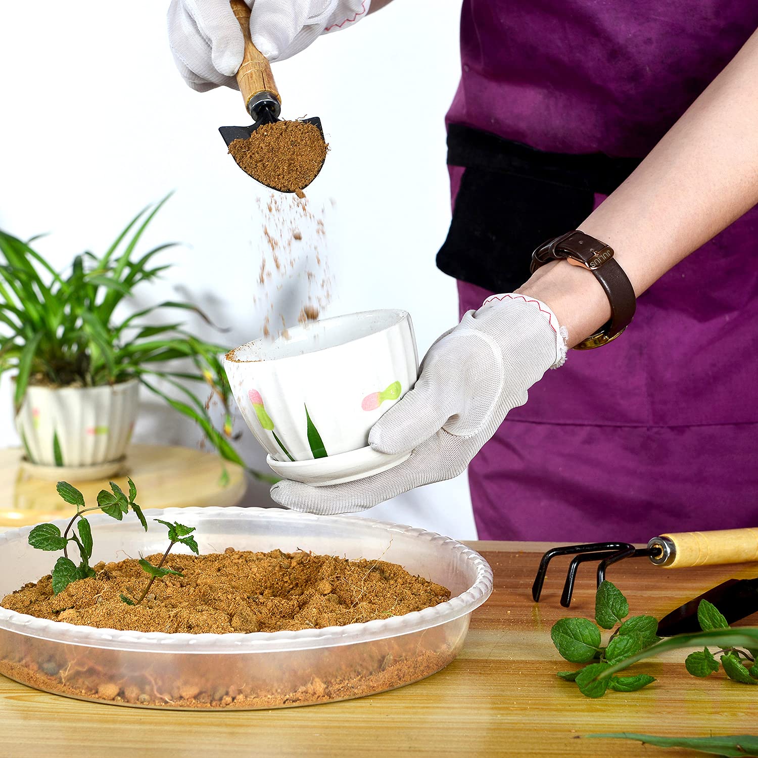 SupKing plant saucer packaging display