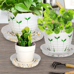 SupKing plant saucer under a pot with excess water