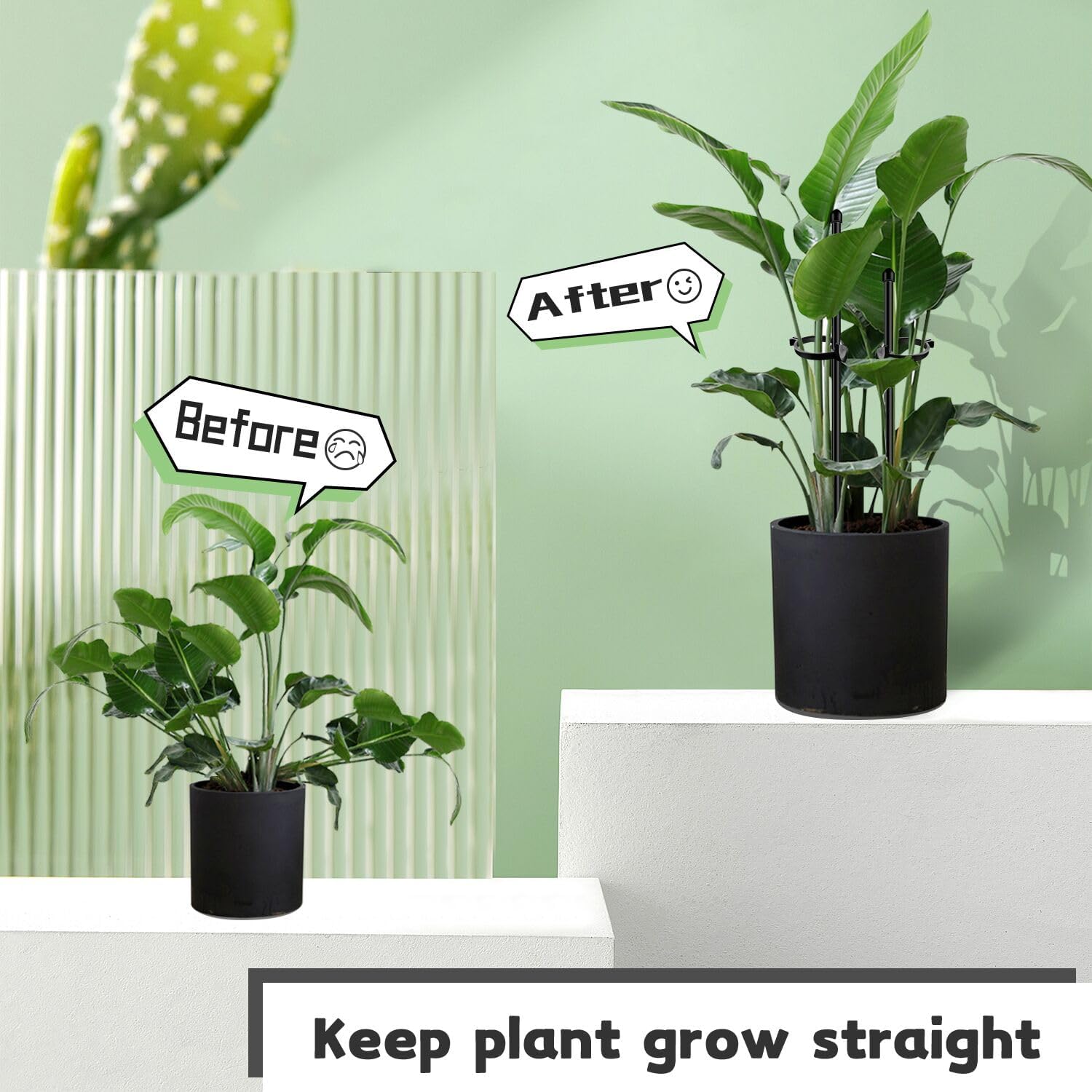 SupKing plant stakes displayed with strapping tapes and connectors