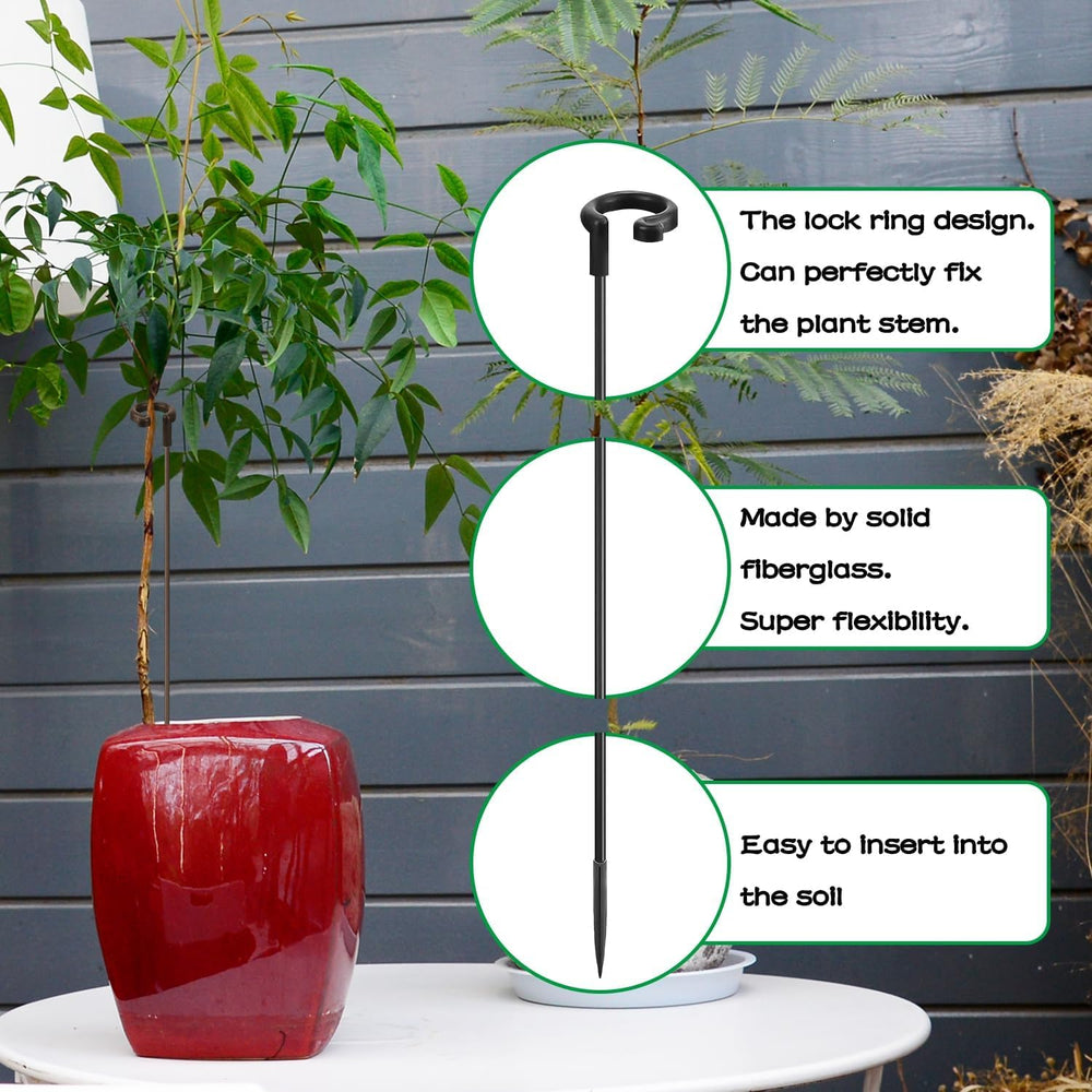 SupKing plant stakes in a potted orchid arrangement