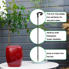 SupKing plant stakes in a potted orchid arrangement