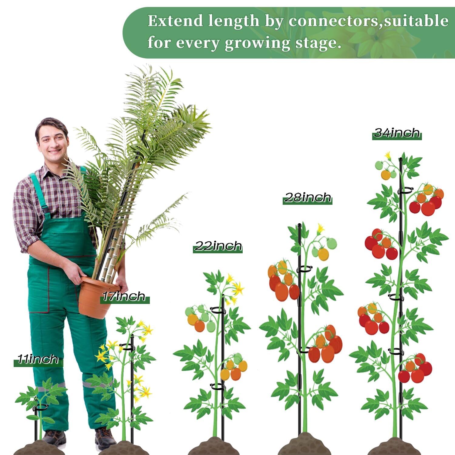 SupKing plant stakes package showing all included items