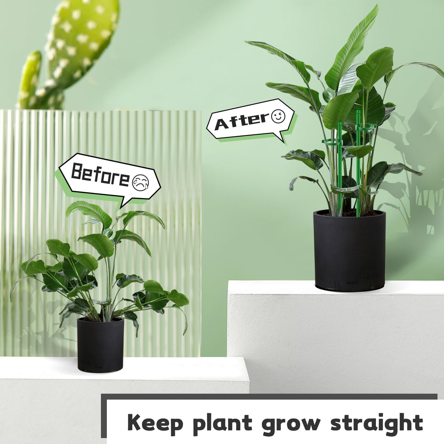 SupKing plant stakes packaging front view