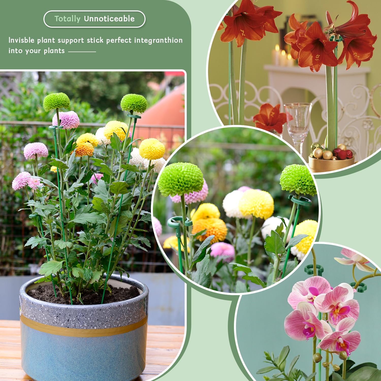 SupKing plant stakes supporting small flowers in garden