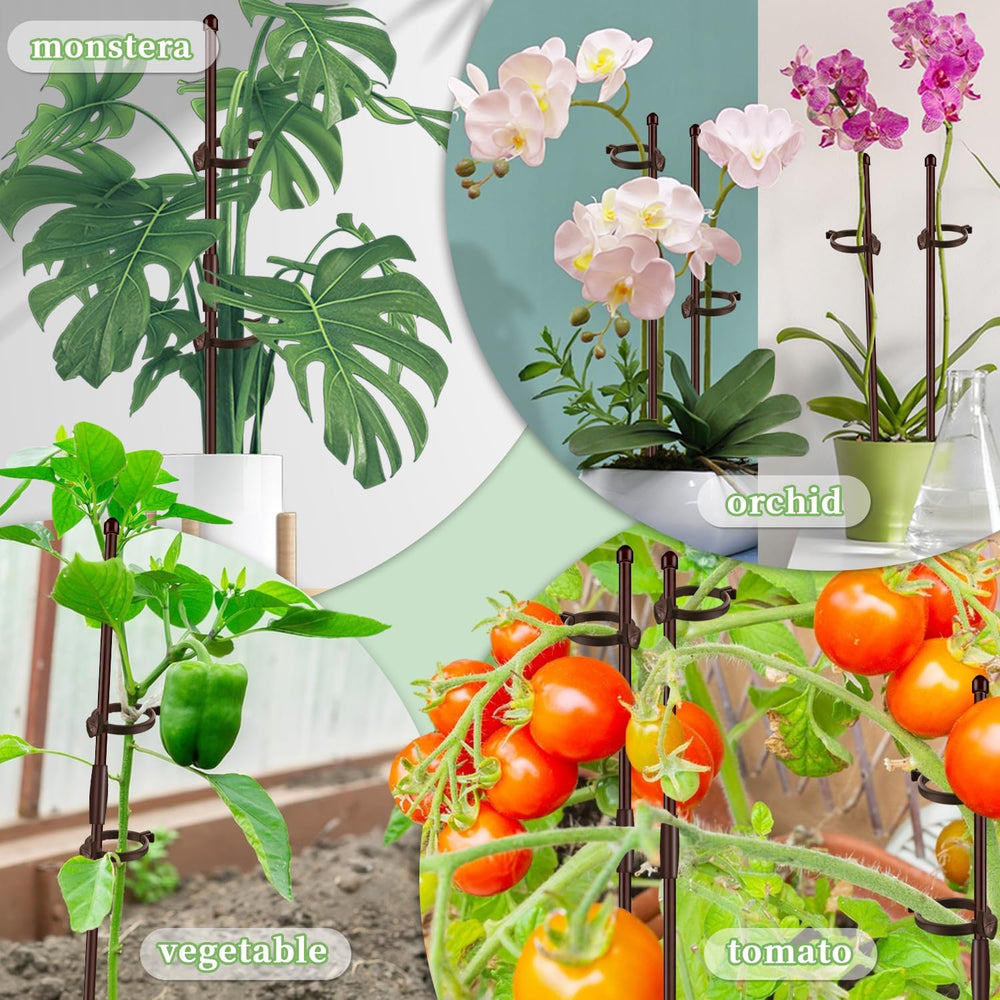 SupKing plant stakes with clips displayed together