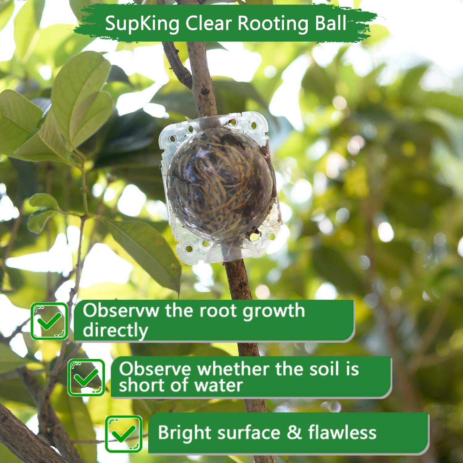 SupKing small rooting balls for plant cutting with dimensions