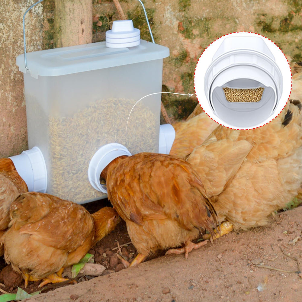 Suplklz chicken feeder setup with feed inside
