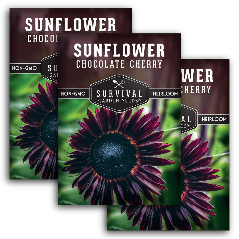 SURVIVAL GARDEN SEEDS Chocolate Cherry Sunflower Seeds pack front view