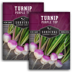SURVIVAL GARDEN SEEDS Purple Top Turnip Seeds front view
