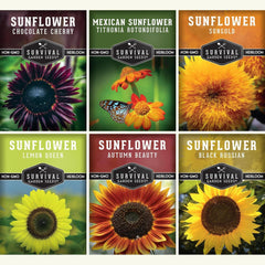 SURVIVAL GARDEN SEEDS Sunflower Seeds Collection pack front view