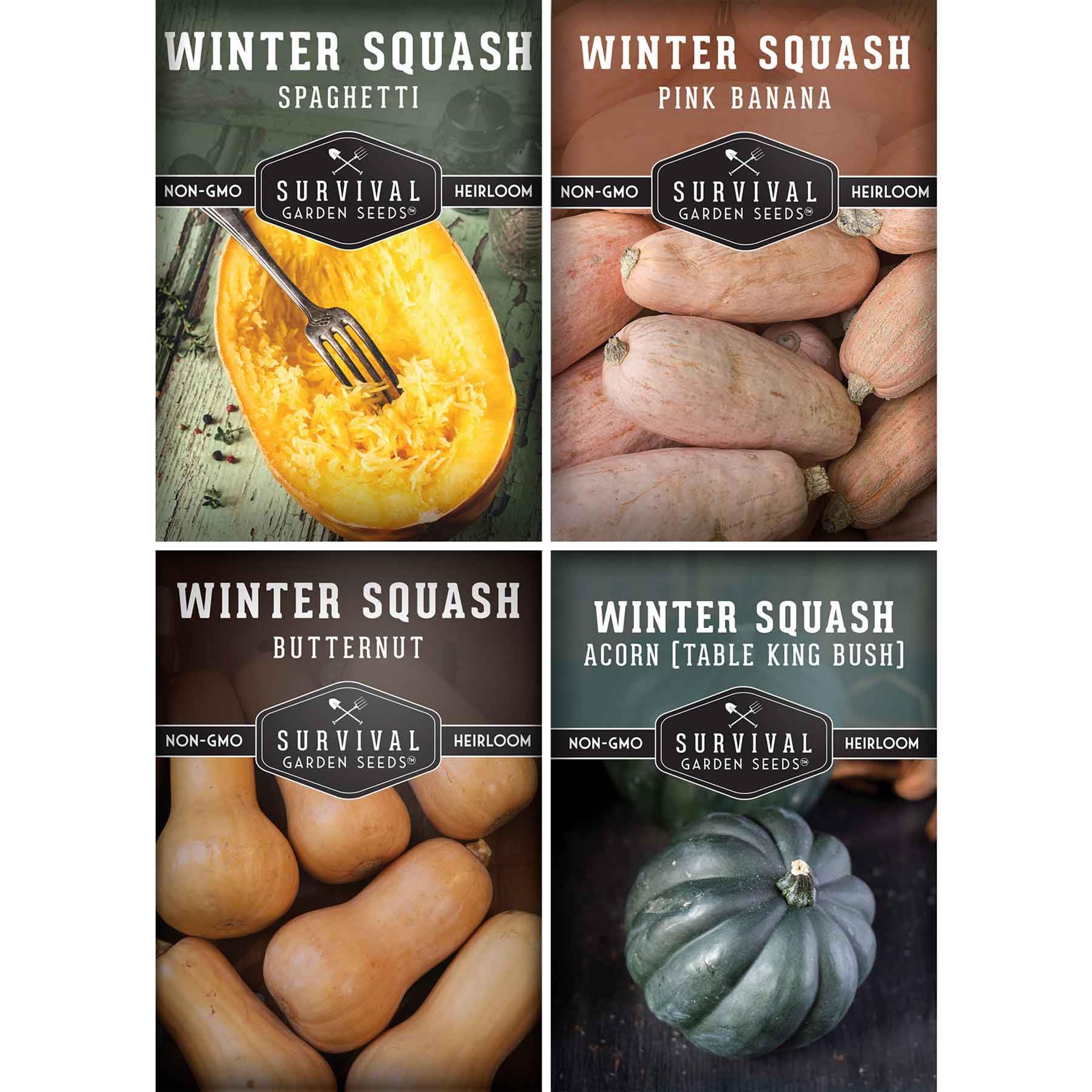 SURVIVAL GARDEN SEEDS Winter Squash Seeds 4 Variety Pack front view