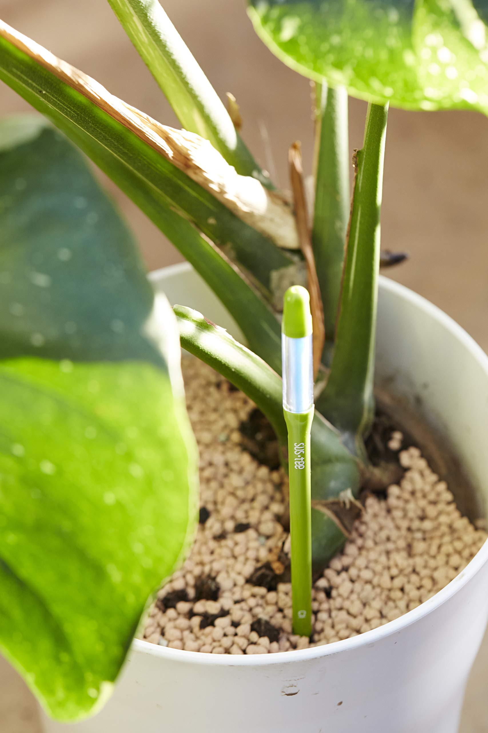 Sustee Aquameter green colour detail