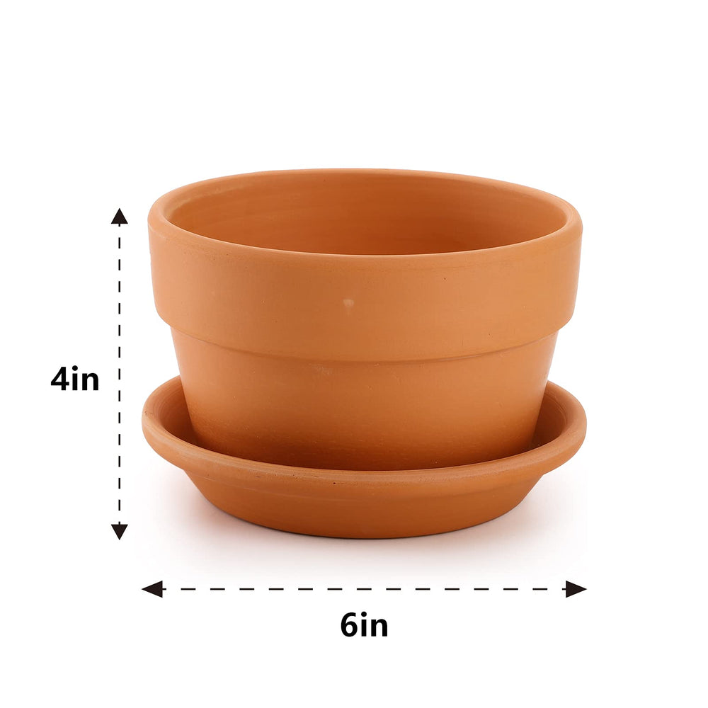Suwimut terracotta pot with succulent plant inside