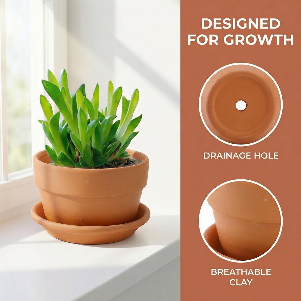 Suwimut terracotta pots arranged on a windowsill