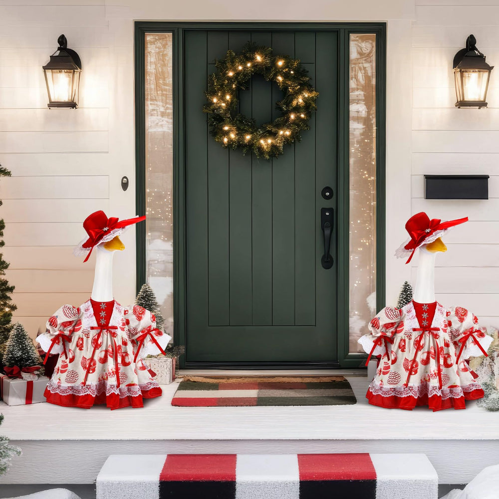 Suzile Christmas Ball Goose Costume packaging with dimensions listed