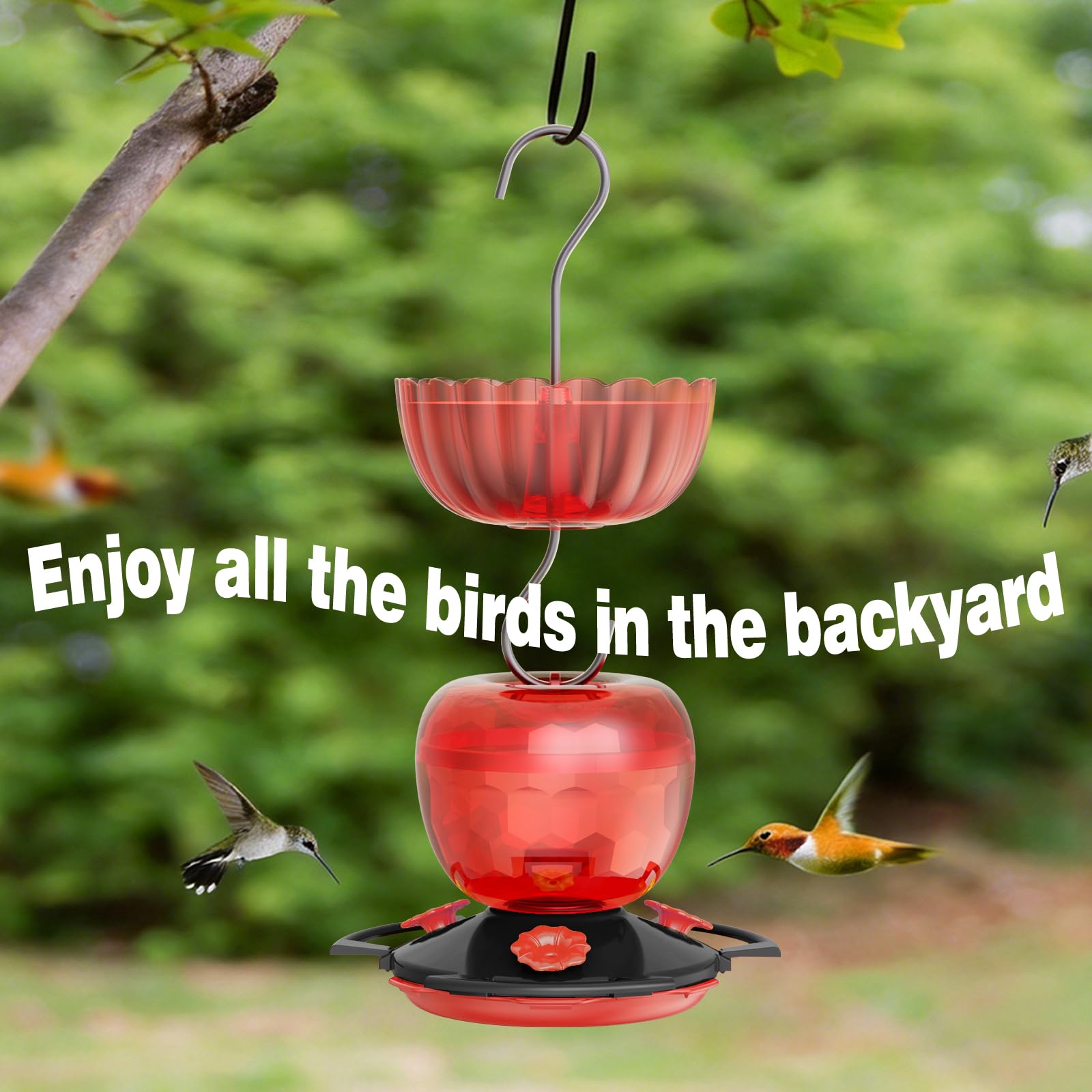 SVEDVK Ant Moat in use under hummingbird feeder
