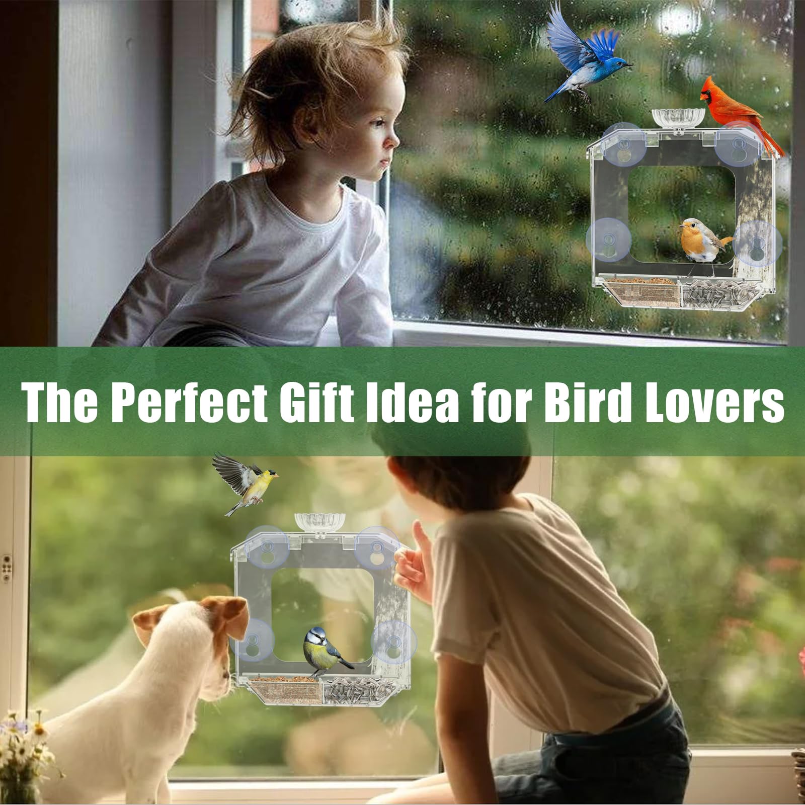 SVEDVK Clear Window Bird Feeder side view with suction cups