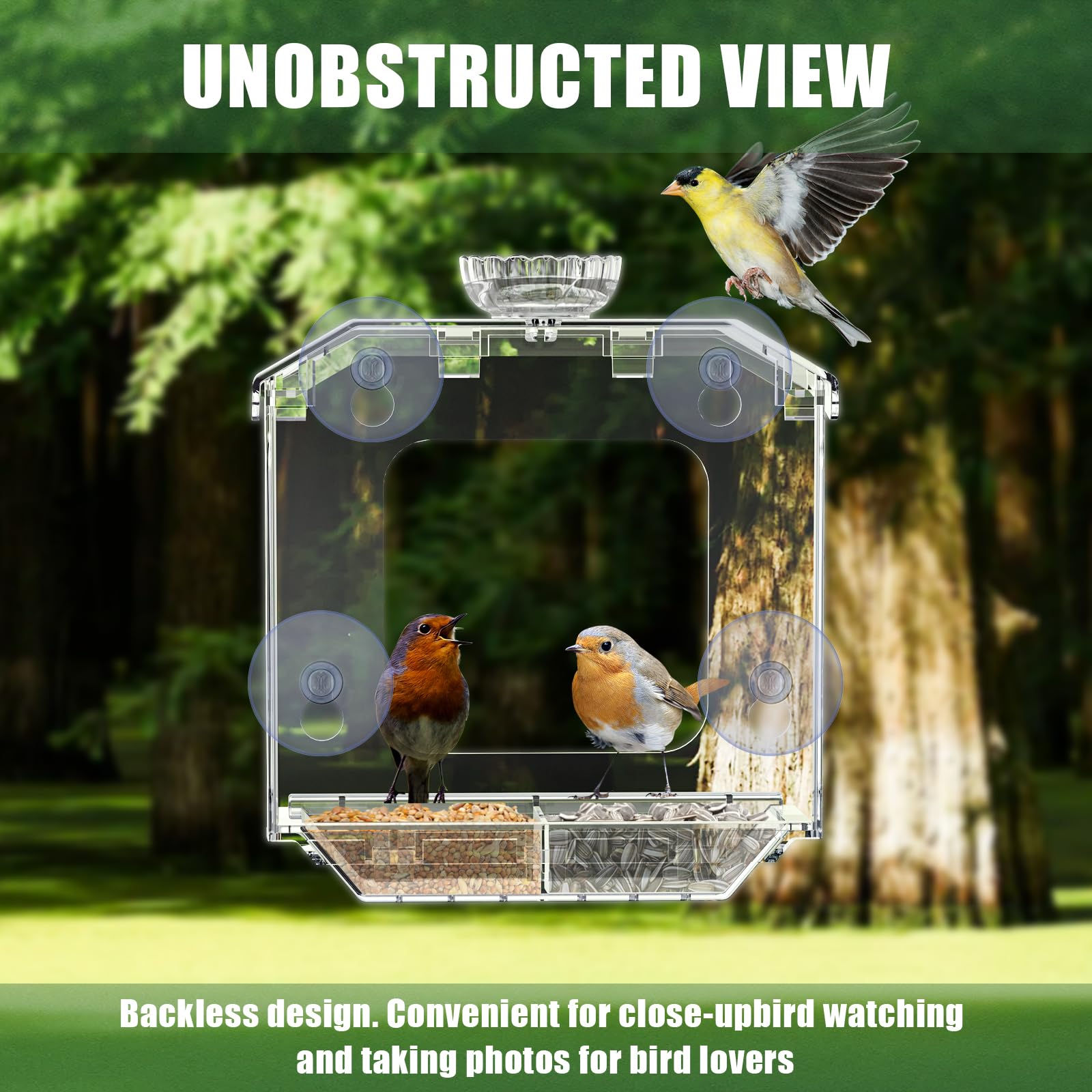 SVEDVK Clear Window Bird Feeder with birds feeding