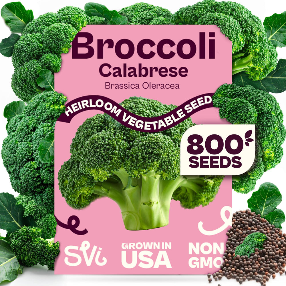 SVI Calabrese Broccoli Seeds 9g packet front view