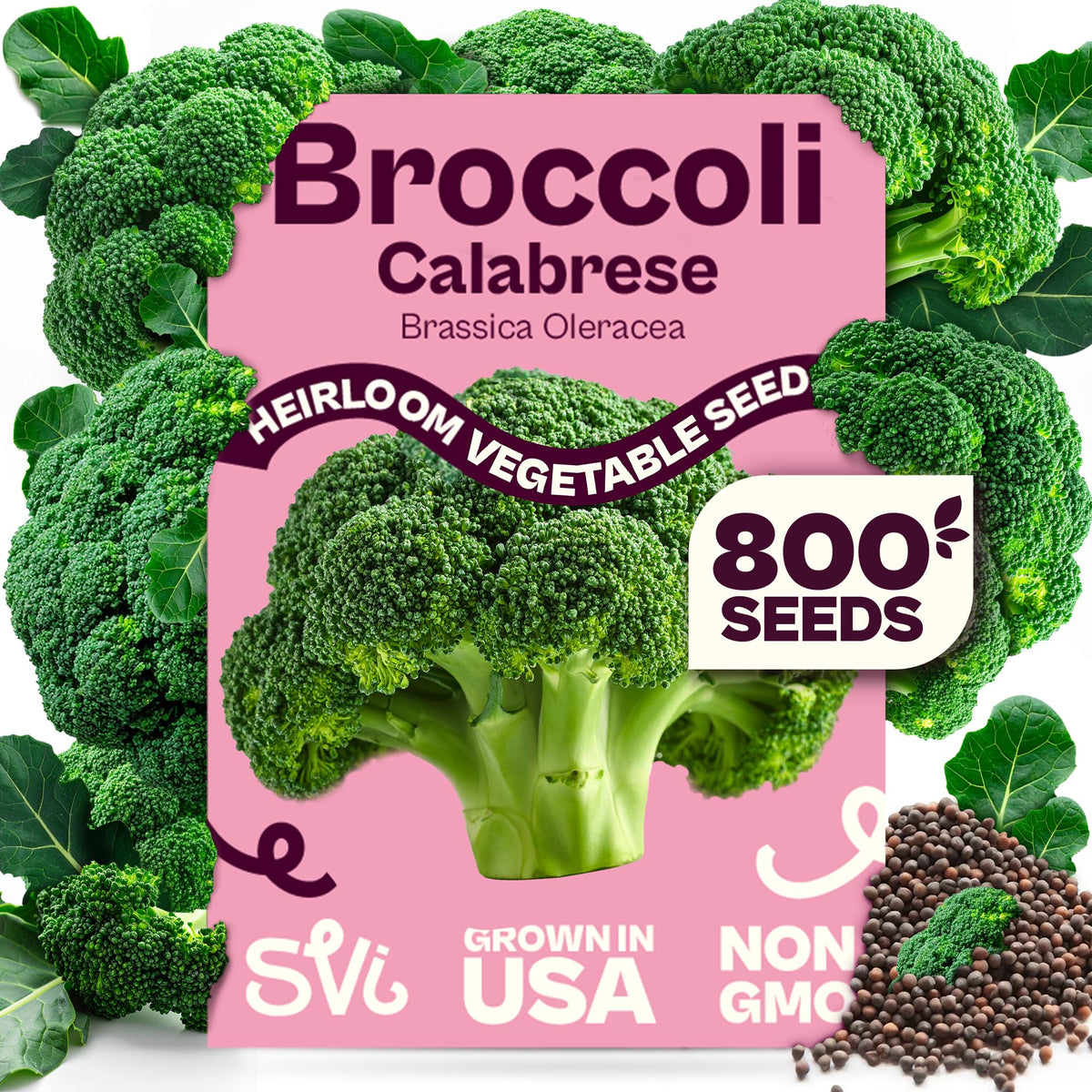 SVI Calabrese Broccoli Seeds 9g packet front view