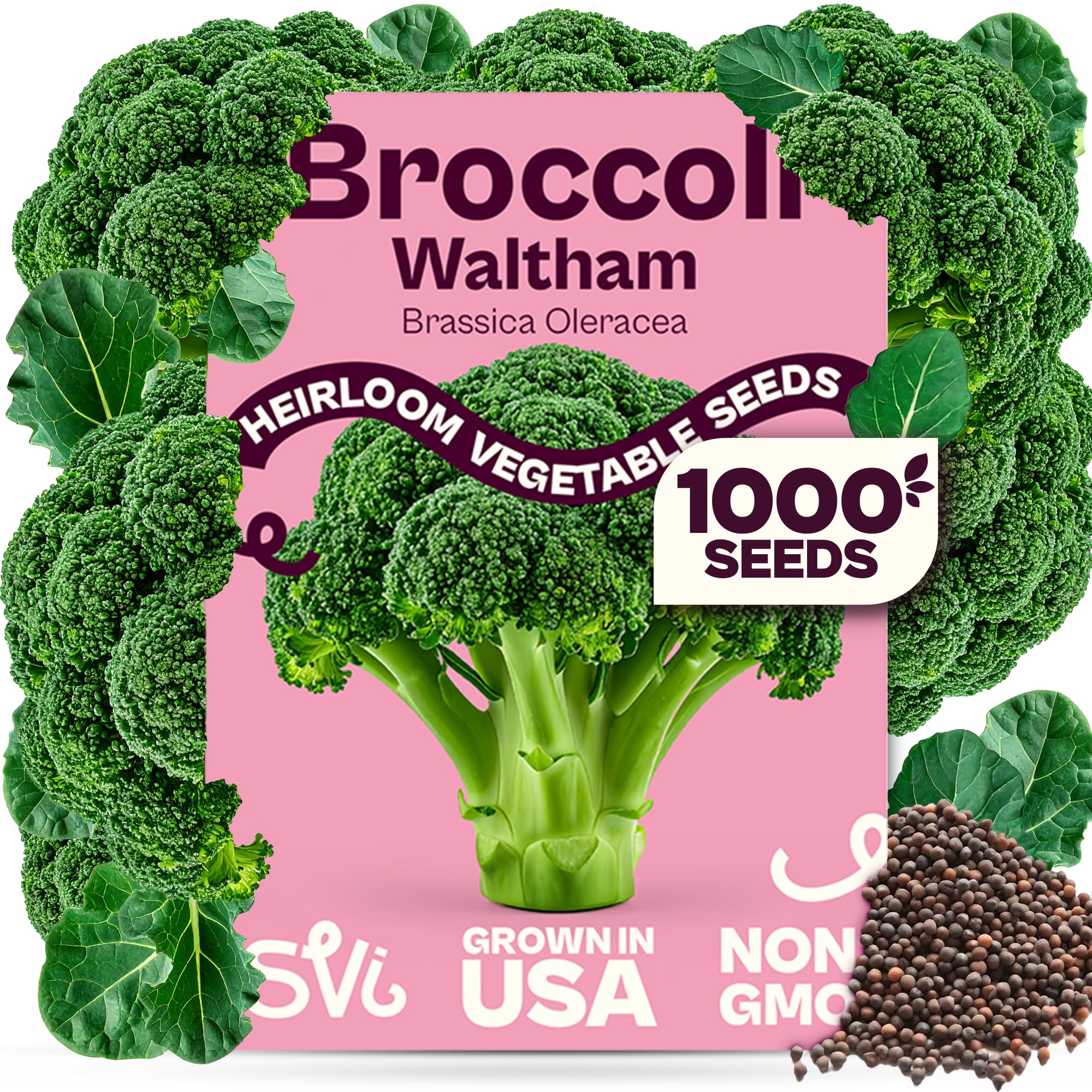 SVI Waltham 29 Broccoli Seeds pack front view