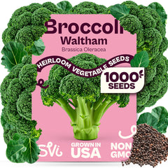 SVI Waltham 29 Broccoli Seeds pack front view