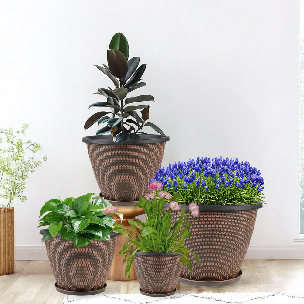 Svxtoby pots arranged on a garden patio