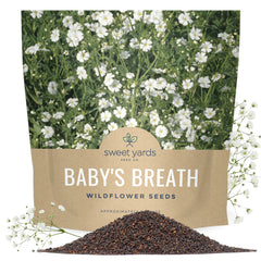 SWEET YARDS Baby's Breath Seeds 1 ounce pouch front view