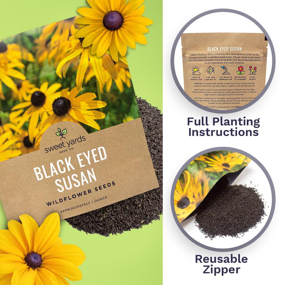 SWEET YARDS Black Eyed Susan seeds in premium packaging