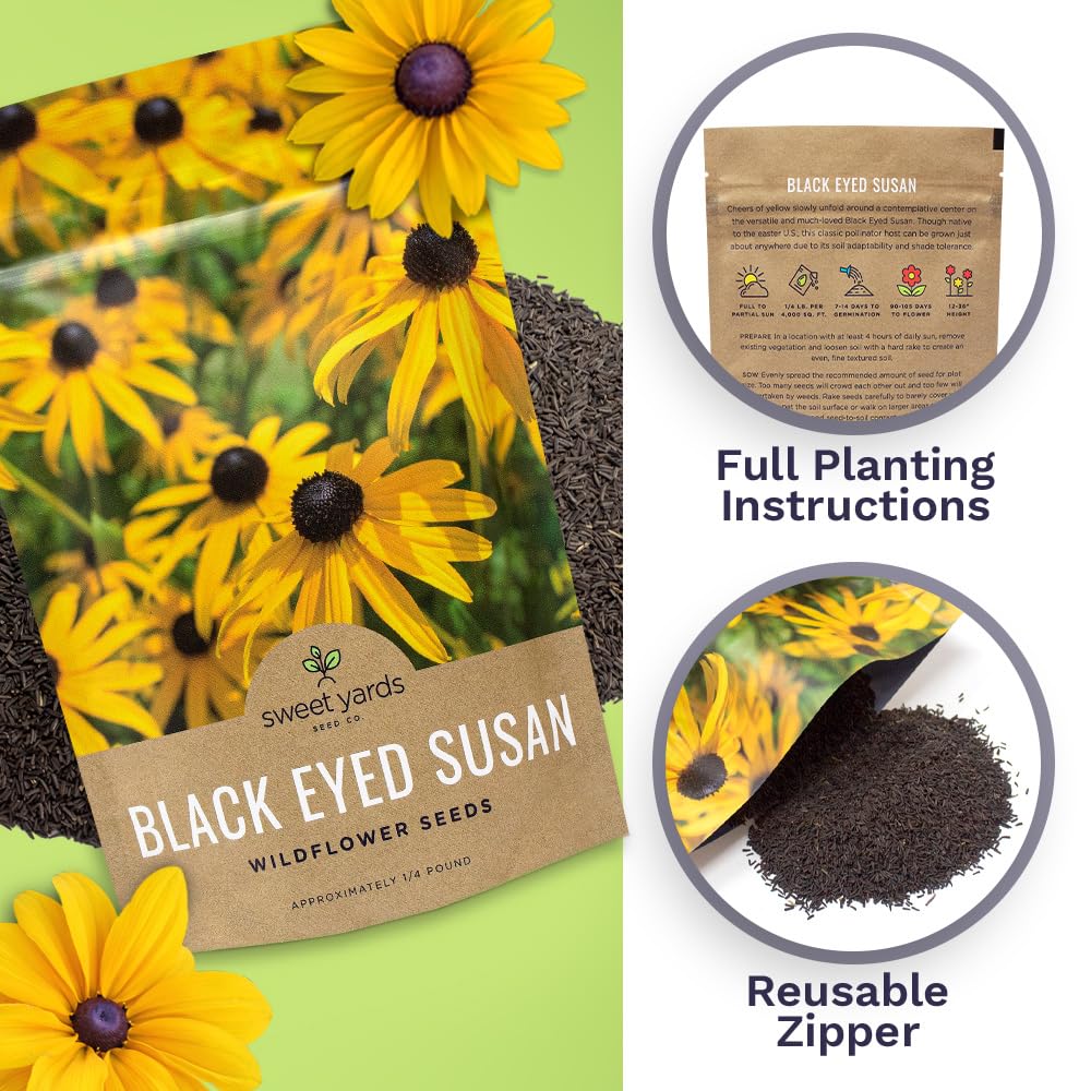 SWEET YARDS Black Eyed Susan seeds with blooming flowers