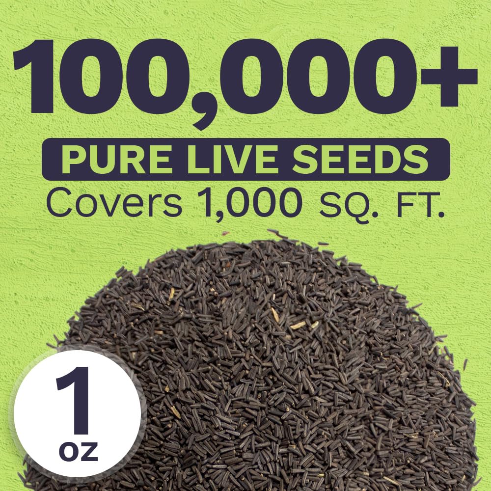 SWEET YARDS Black Eyed Susan seeds with planting instructions