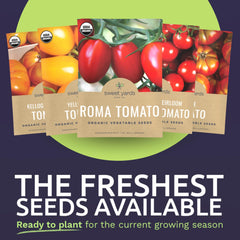 SWEET YARDS Black Krim Tomato seed packet