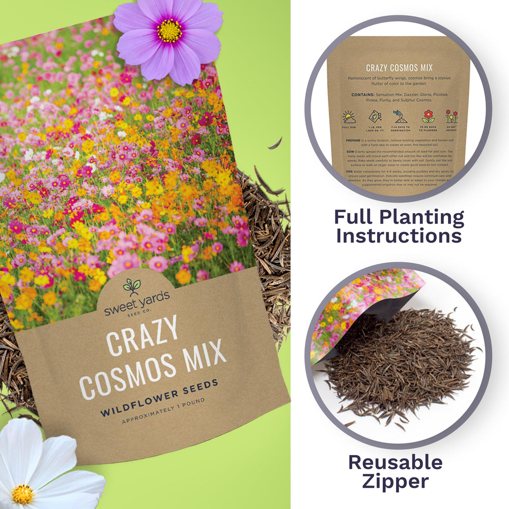 SWEET YARDS Bulk Cosmos Seeds premium giftable packaging