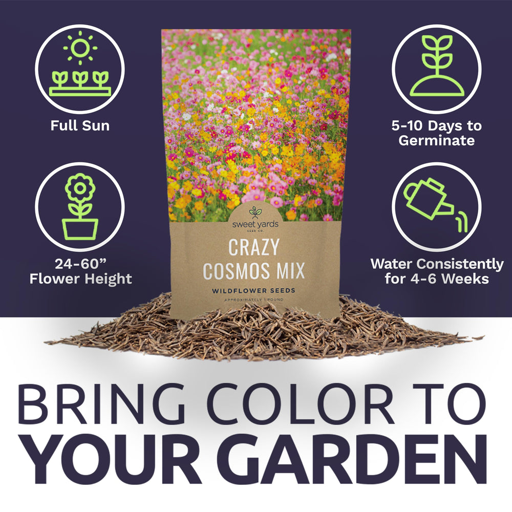 SWEET YARDS Bulk Cosmos Seeds spread across a garden area