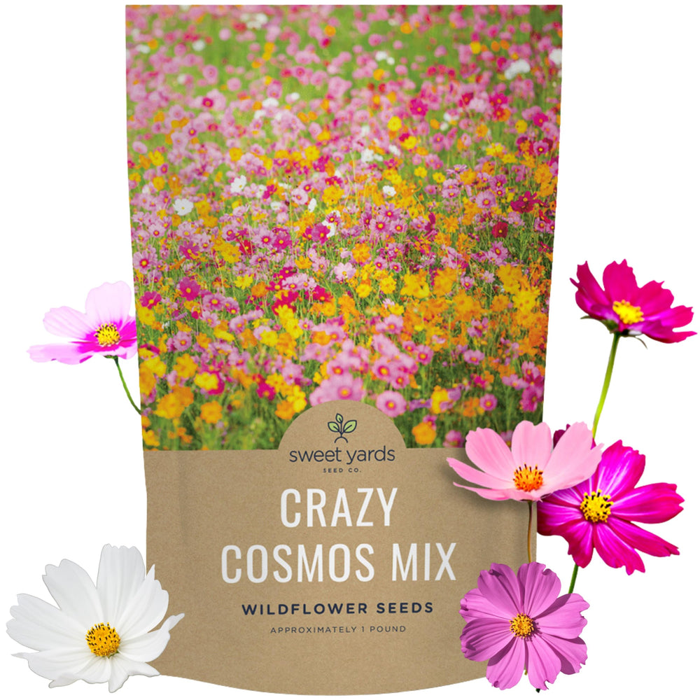 SWEET YARDS Bulk Cosmos Seeds Wildflower Mixture 1 Pound Bag