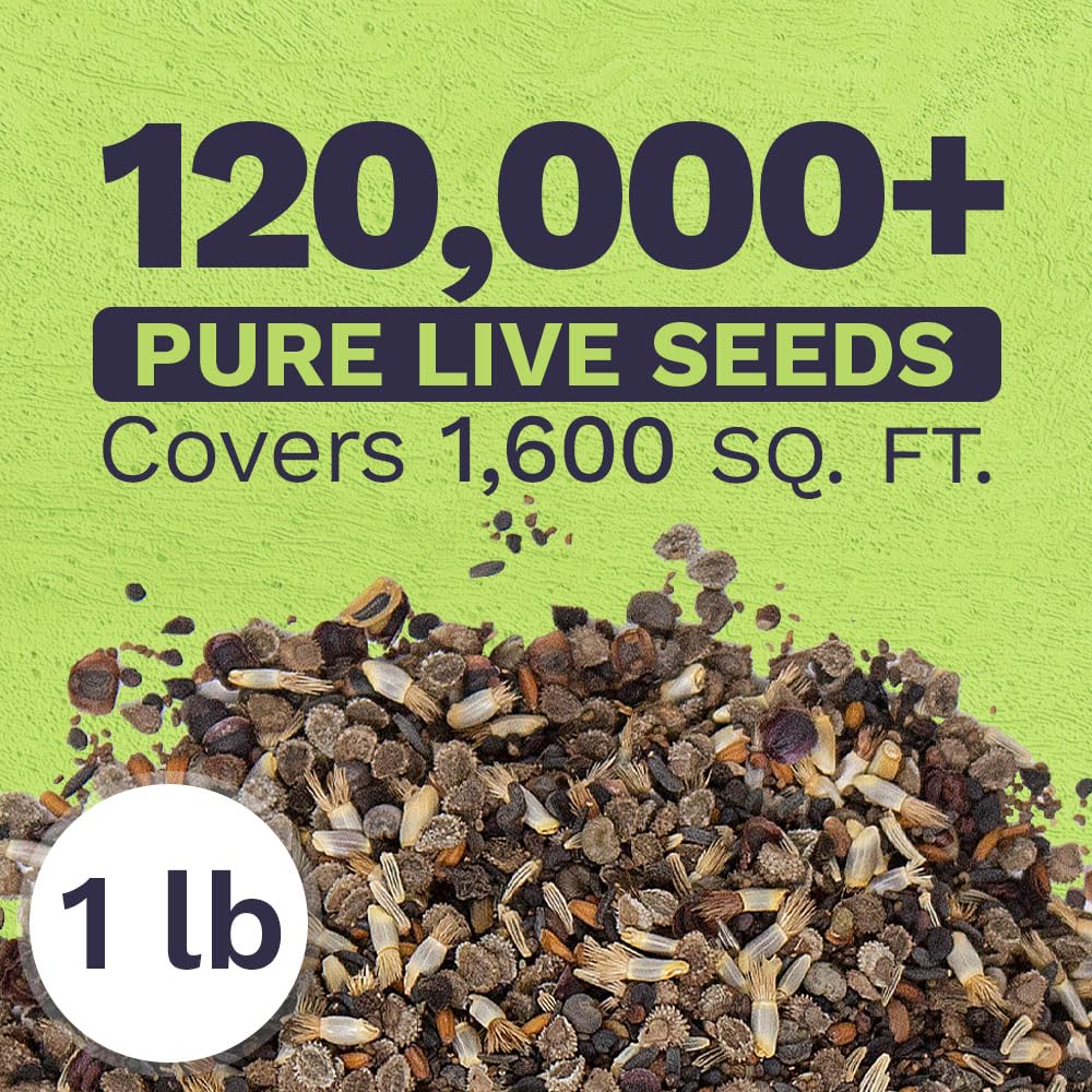 SWEET YARDS Bulk Wildflower Seeds bag back view with seed details