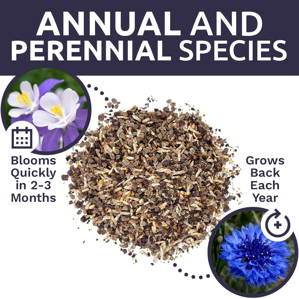 SWEET YARDS Bulk Wildflower Seeds mix in a bowl for planting