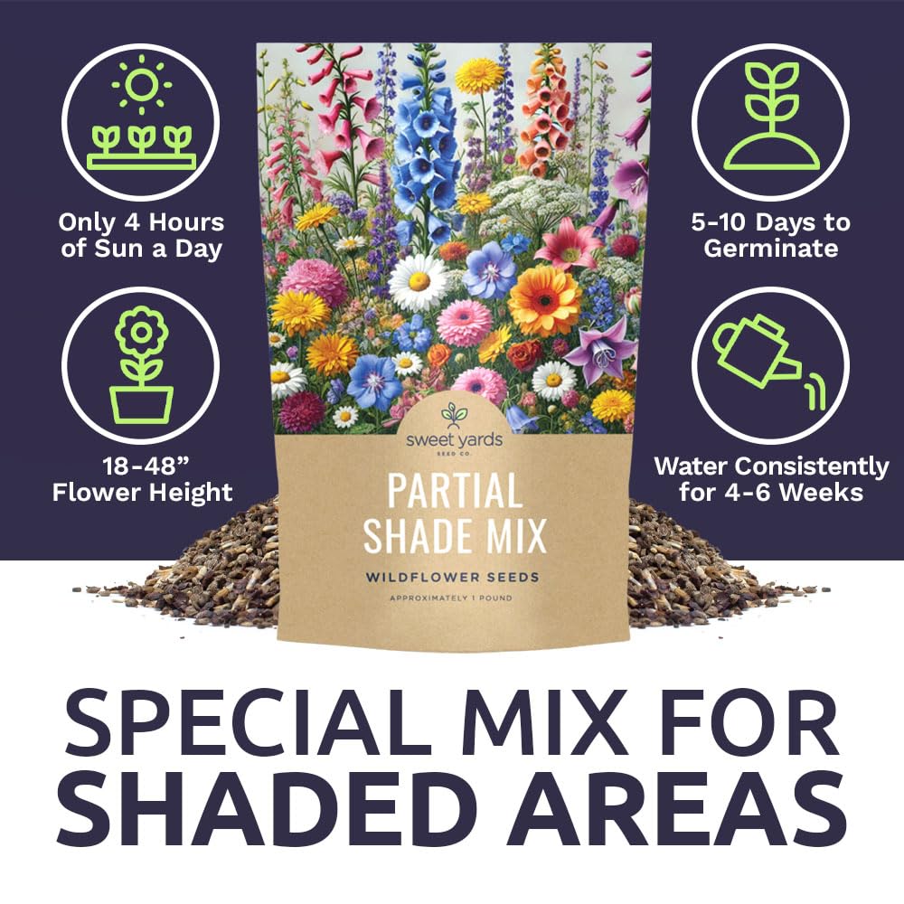SWEET YARDS Bulk Wildflower Seeds mixed flowers blooming