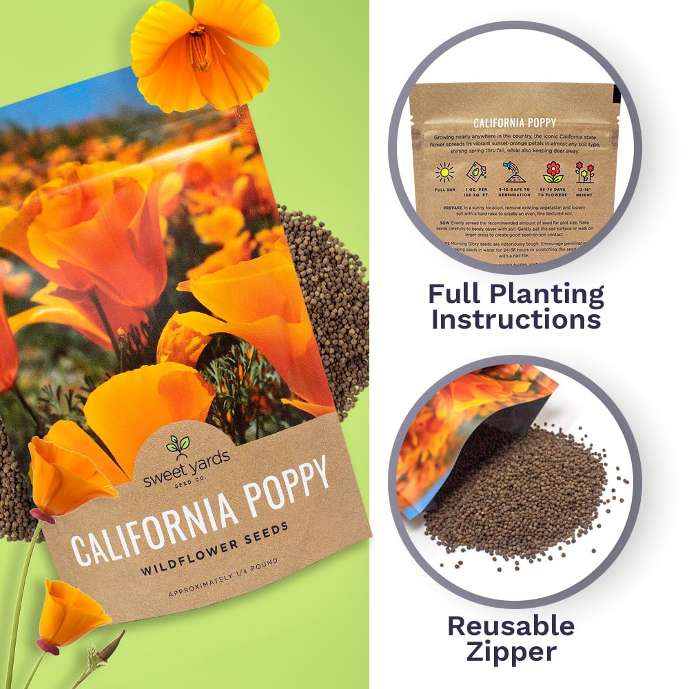 SWEET YARDS California Poppy seeds with planting instructions