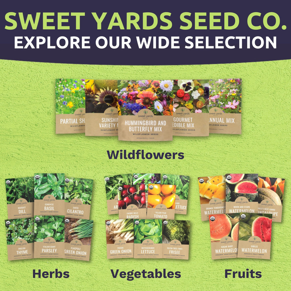SWEET YARDS herb seeds variety pack showcasing all 10 herbs