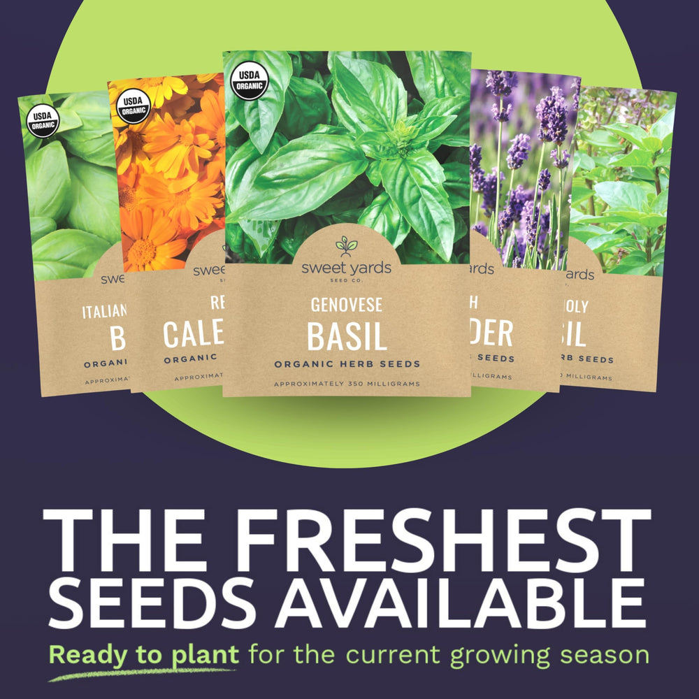 SWEET YARDS herb seeds variety pack with vibrant herbs in a garden setting